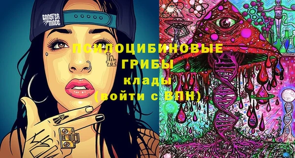 твердый Пересвет