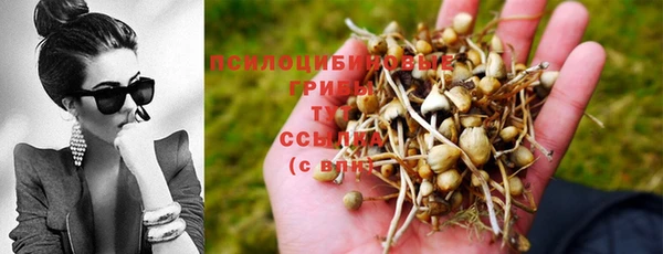 mdpv Пестово