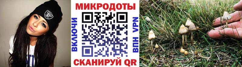 Галлюциногенные грибы MAGIC MUSHROOMS  Приозерск 